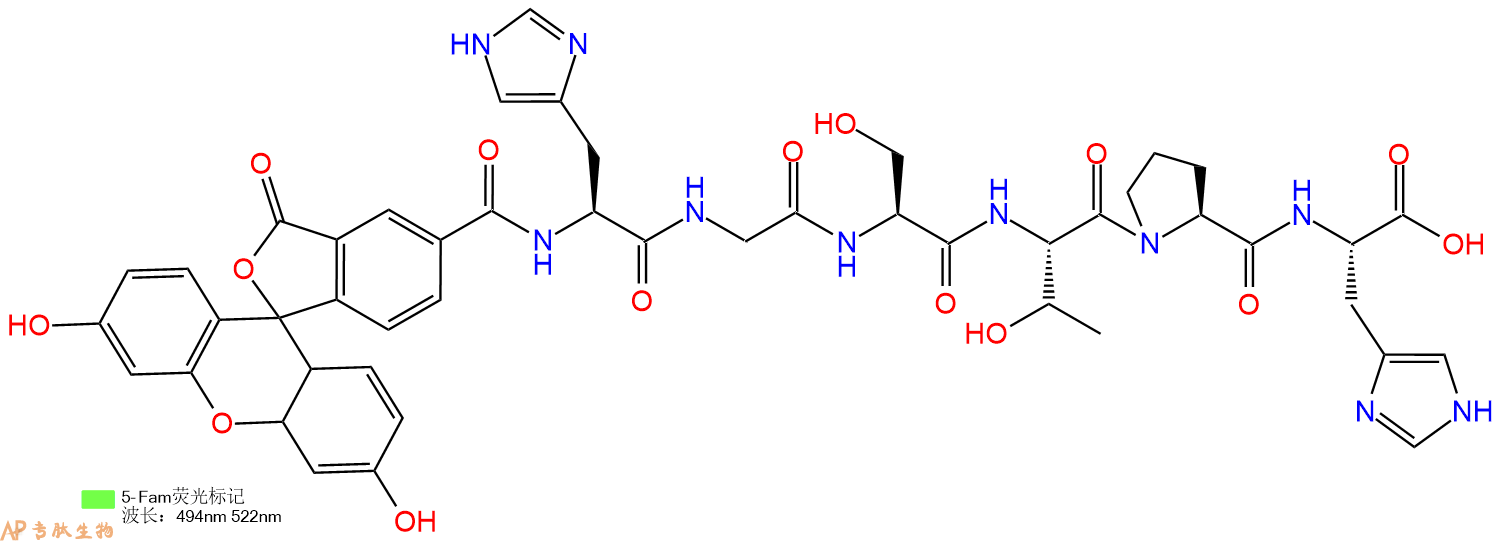 专肽生物产品5FAM-His-Gly-Ser-Thr-Pro-His-OH