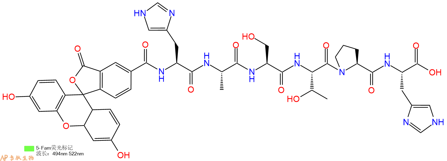 专肽生物产品5FAM-His-Ala-Ser-Thr-Pro-His-OH