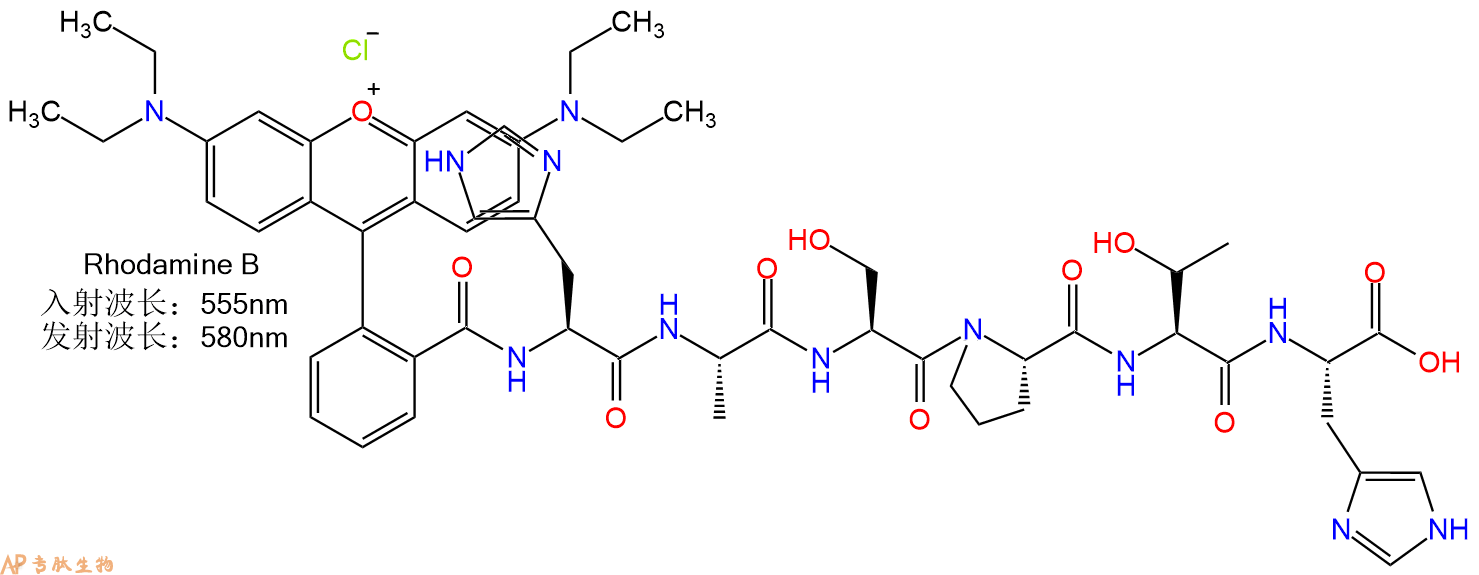 专肽生物产品RhodamineB-His-Ala-Ser-Pro-Thr-His-OH
