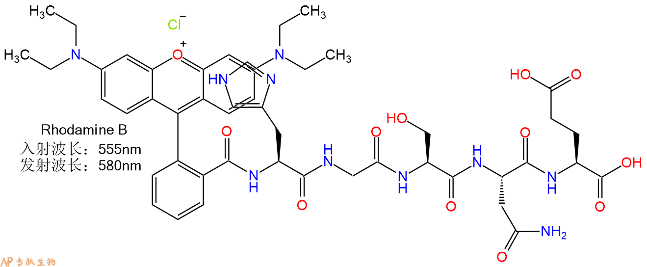 专肽生物产品RhodamineB-His-Gly-Ser-Asn-Glu-OH