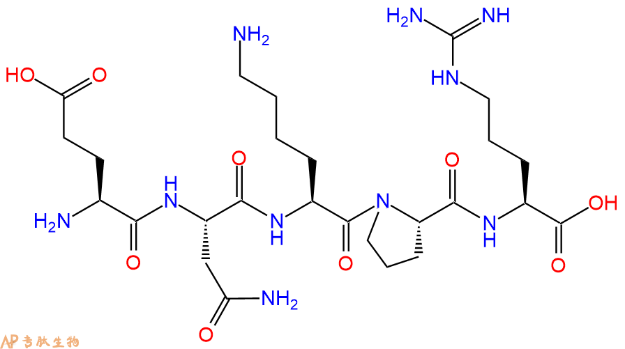 专肽生物产品H2N-Glu-Asn-Lys-Pro-Arg-OH