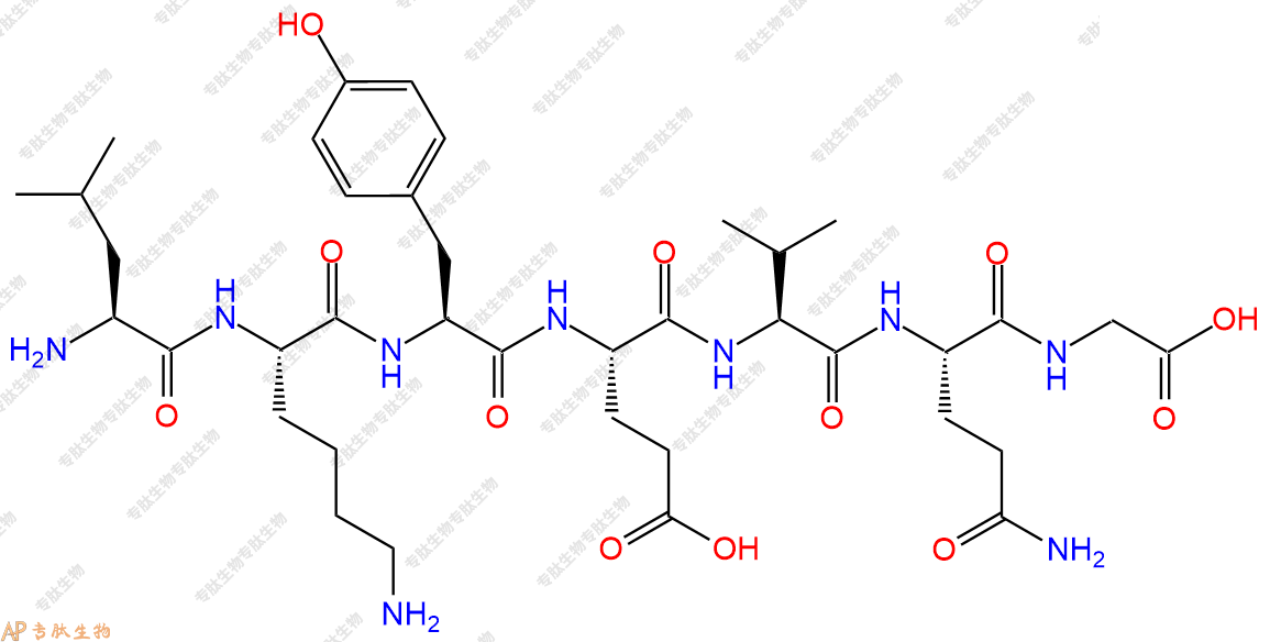 专肽生物产品H2N-Leu-Lys-Tyr-Glu-Val-Gln-Gly-OH