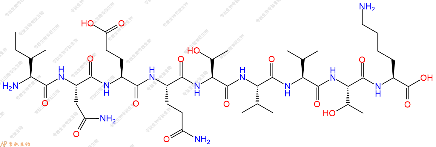 专肽生物产品H2N-Ile-Asn-Glu-Gln-Thr-Val-Val-Thr-Lys-OH