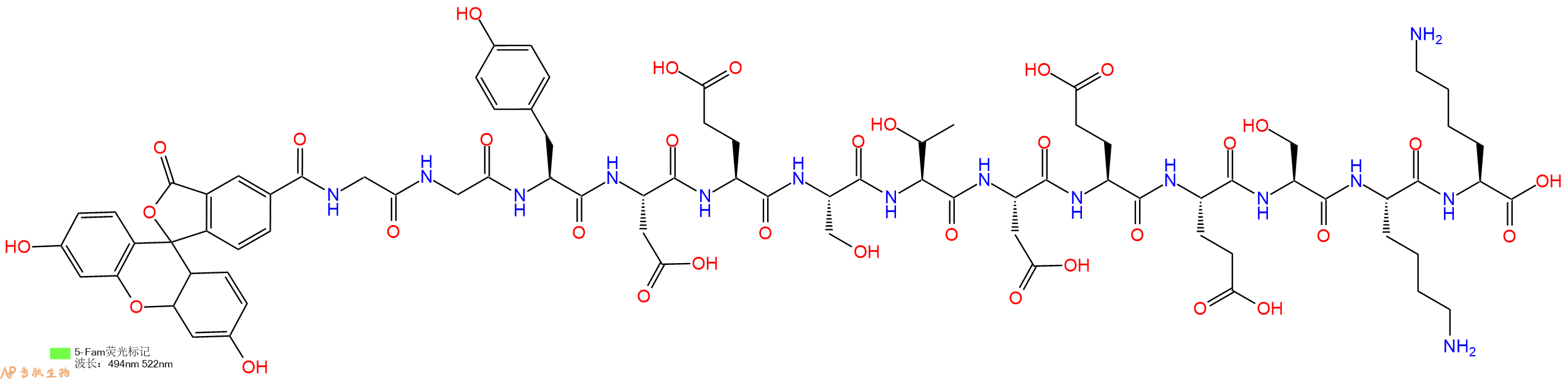 专肽生物产品5FAM-Gly-Gly-Tyr-Asp-Glu-Ser-Thr-Asp-Glu-Glu-Ser-Lys-Lys-OH