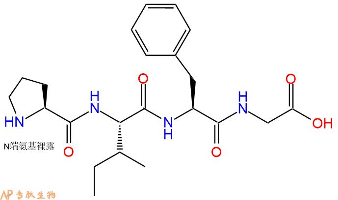 专肽生物产品H2N-Pro-Ile-Phe-Gly-OH