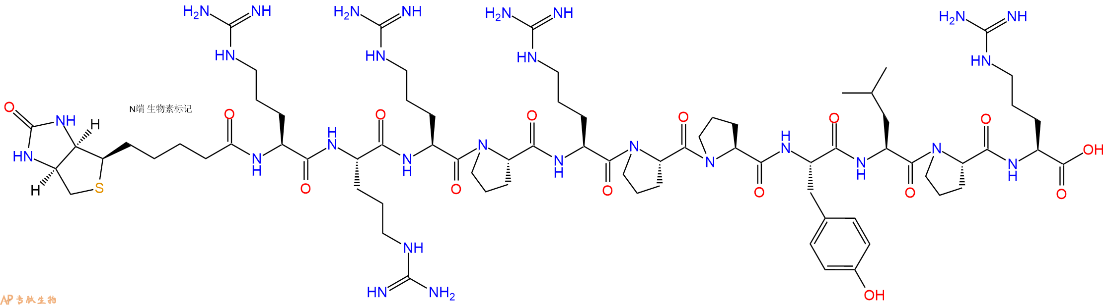 专肽生物产品Biotinyl-Arg-Arg-Arg-Pro-Arg-Pro-Pro-Tyr-Leu-Pro-Arg-OH