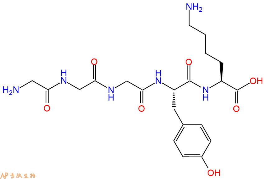 专肽生物产品H2N-Gly-Gly-Gly-Tyr-Lys-OH