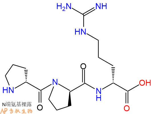 专肽生物产品H2N-DPro-DPro-DArg-OH