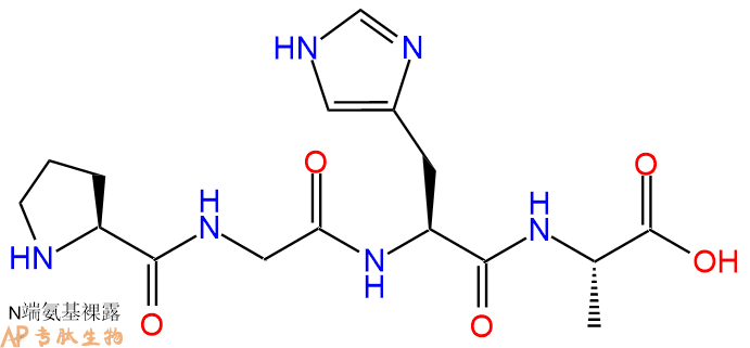 专肽生物产品H2N-Pro-Gly-His-Ala-OH