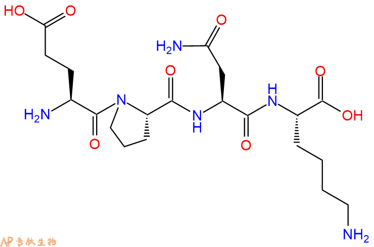 专肽生物产品H2N-Glu-Pro-Asn-Lys-OH
