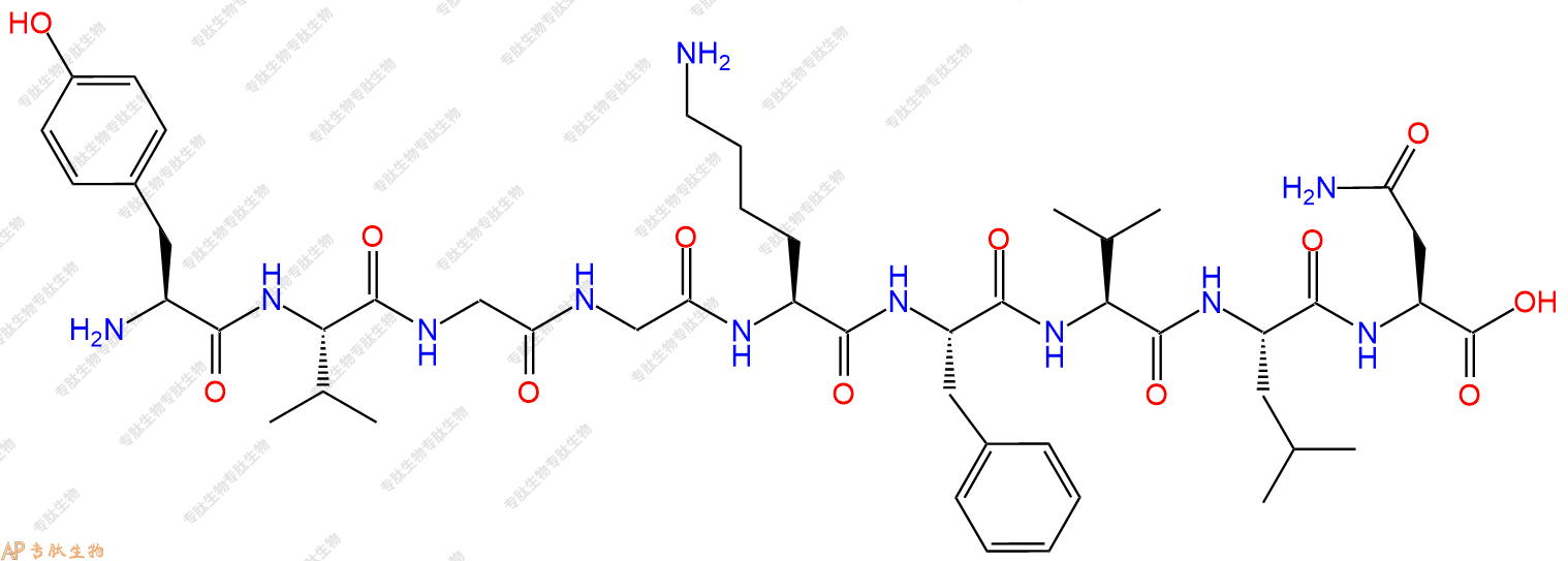 专肽生物产品H2N-Tyr-Val-Gly-Gly-Lys-Phe-Val-Leu-Asn-OH