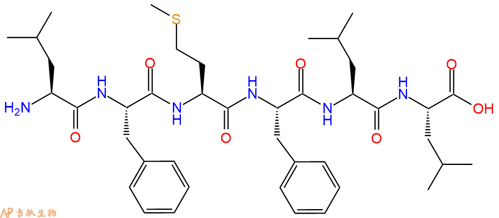 专肽生物产品H2N-Leu-Phe-Met-Phe-Leu-Leu-OH