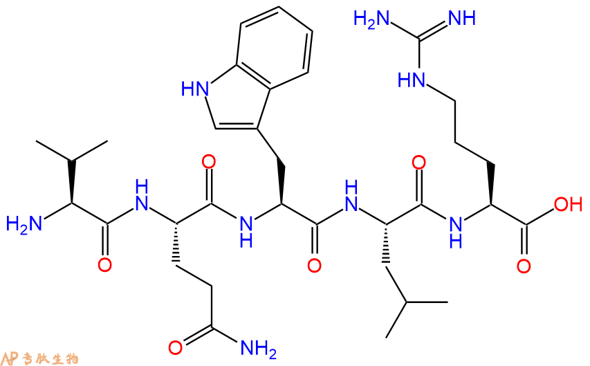 专肽生物产品H2N-Val-Gln-Trp-Leu-Arg-OH