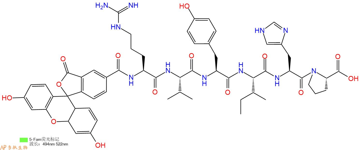 专肽生物产品5FAM-Arg-Val-Tyr-Ile-His-Pro-OH