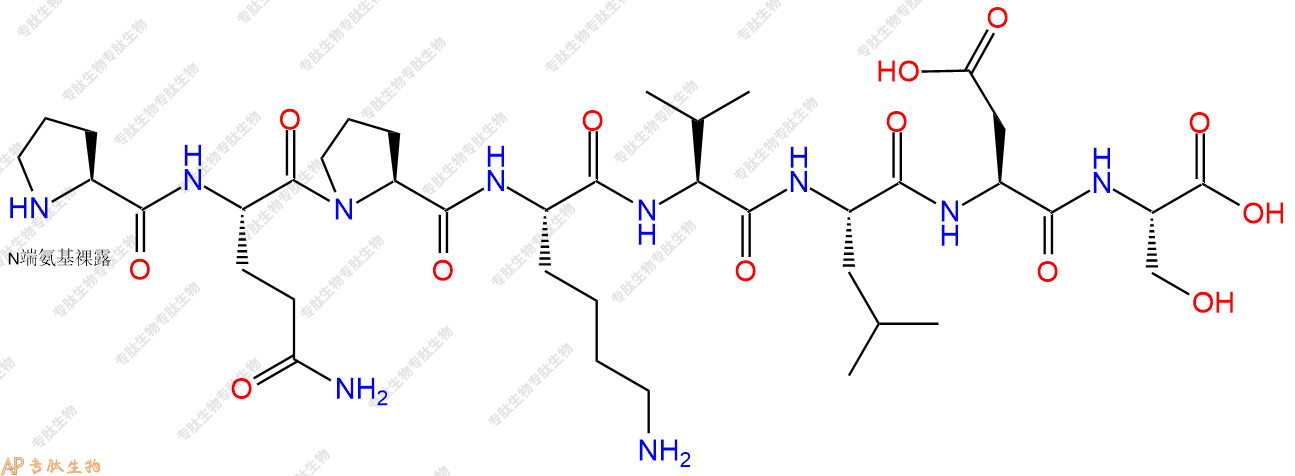 专肽生物产品H2N-Pro-Gln-Pro-Lys-Val-Leu-Asp-Ser-OH