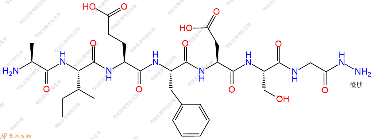 专肽生物产品H2N-Ala-Ile-Glu-Phe-Asp-Ser-Gly-Hydrazide