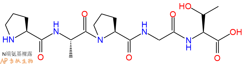 专肽生物产品H2N-Pro-Ala-Pro-Gly-Thr-OH