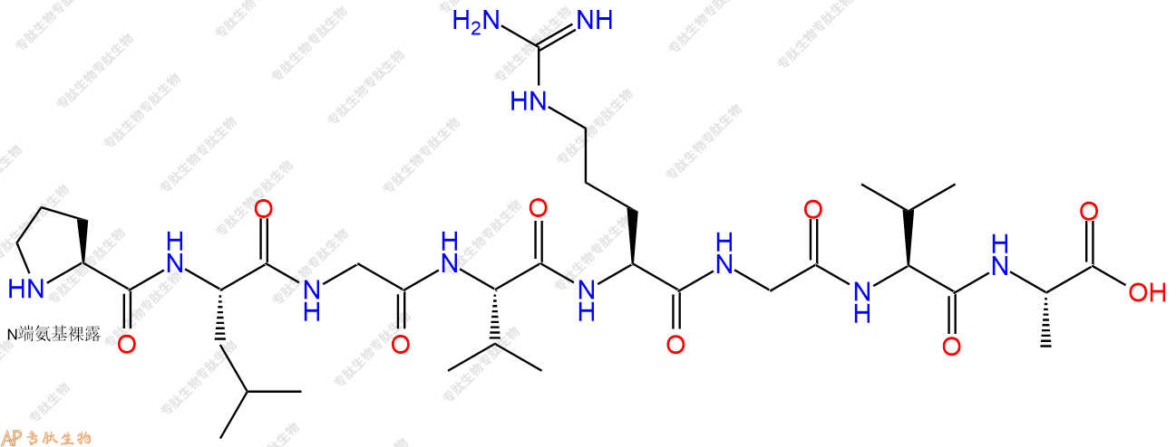专肽生物产品H2N-Pro-Leu-Gly-Val-Arg-Gly-Val-Ala-OH