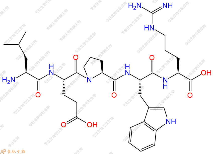 专肽生物产品H2N-Leu-Glu-Pro-Trp-Arg-OH