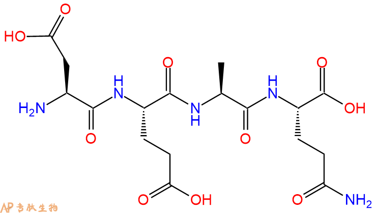 专肽生物产品H2N-Asp-Glu-Ala-Gln-OH