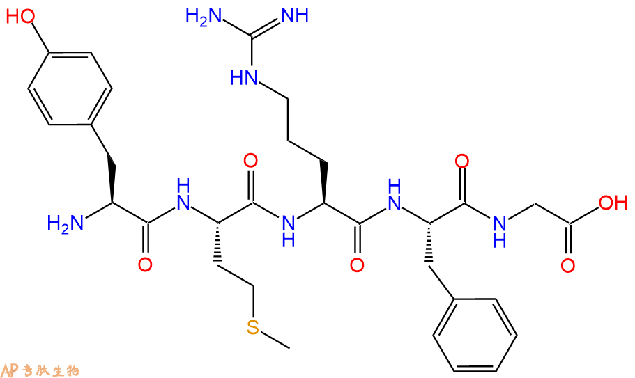 专肽生物产品H2N-Tyr-Met-Arg-Phe-Gly-OH