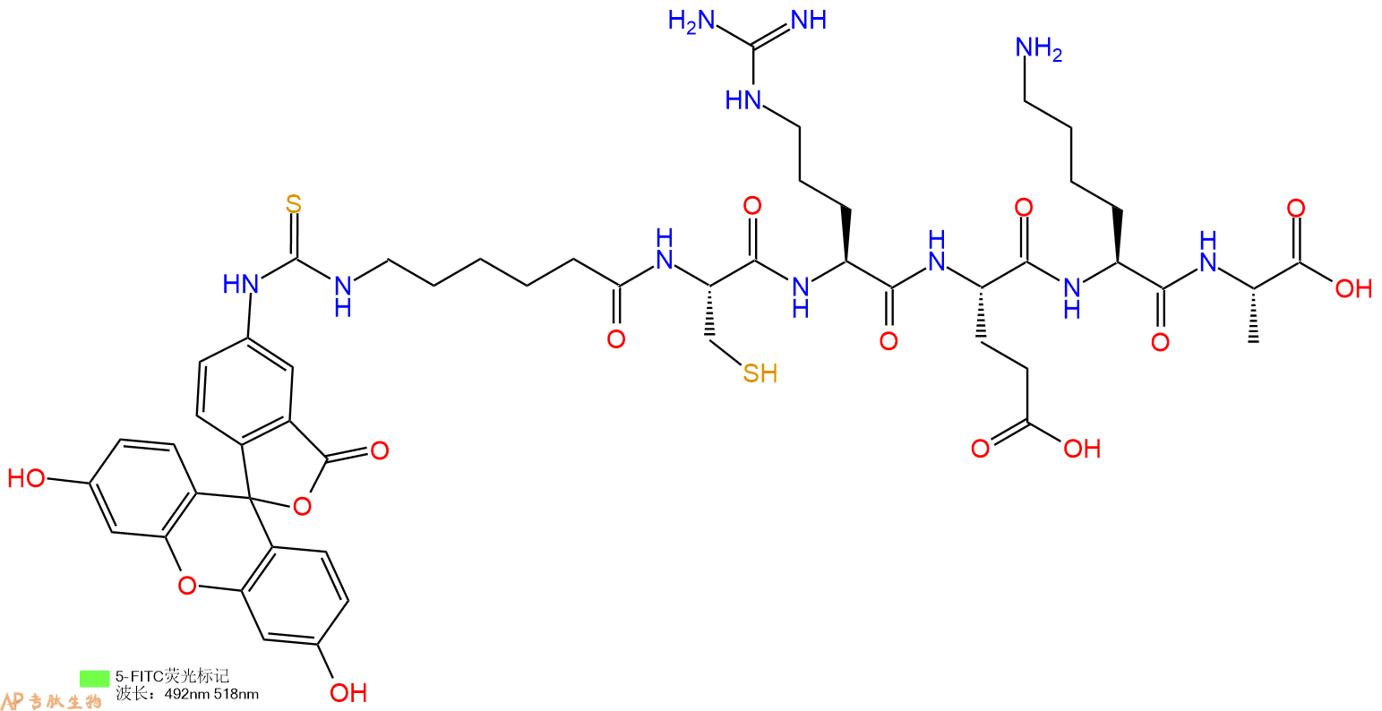 专肽生物产品5FITC-Ahx-Cys-Arg-Glu-Lys-Ala-OH
