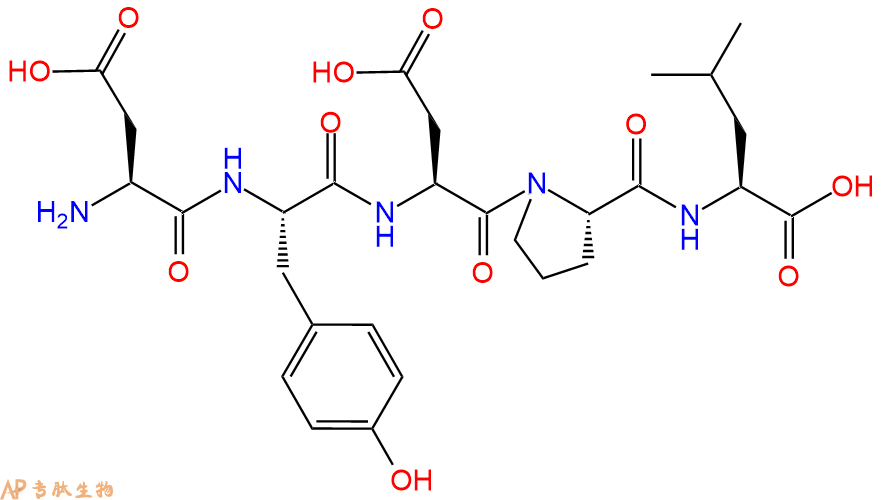 专肽生物产品H2N-Asp-Tyr-Asp-Pro-Leu-OH