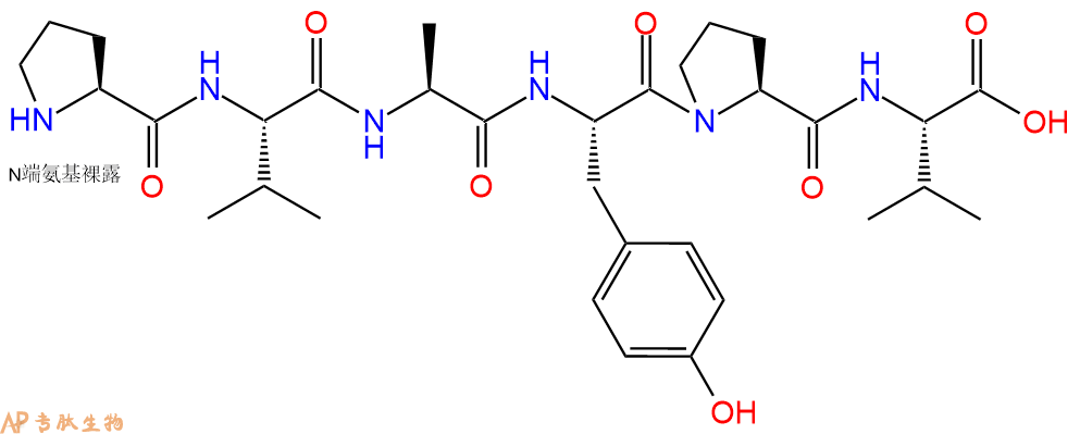 专肽生物产品H2N-Pro-Val-Ala-Tyr-Pro-Val-OH