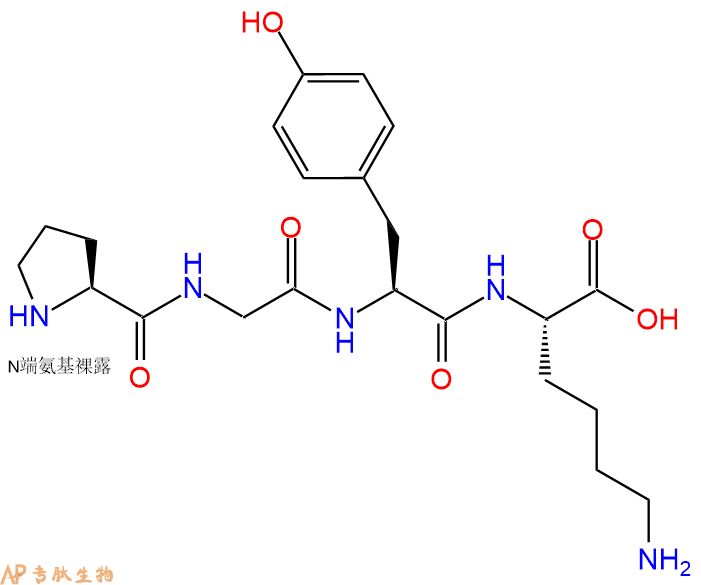 专肽生物产品H2N-Pro-Gly-Tyr-Lys-OH