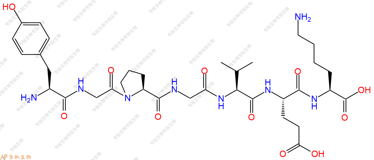 专肽生物产品H2N-Tyr-Gly-Pro-Gly-Val-Glu-Lys-OH