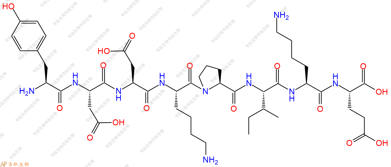专肽生物产品H2N-Tyr-Asp-Asp-Lys-Pro-Ile-Lys-Glu-OH