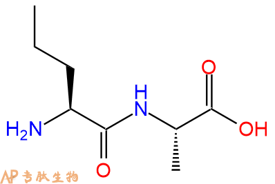 专肽生物产品H2N-Nva-Ala-OH