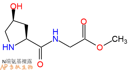 专肽生物产品H2N-Hyp-Gly-OMe