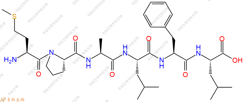 专肽生物产品H2N-Met-Pro-Ala-Leu-Phe-Leu-OH