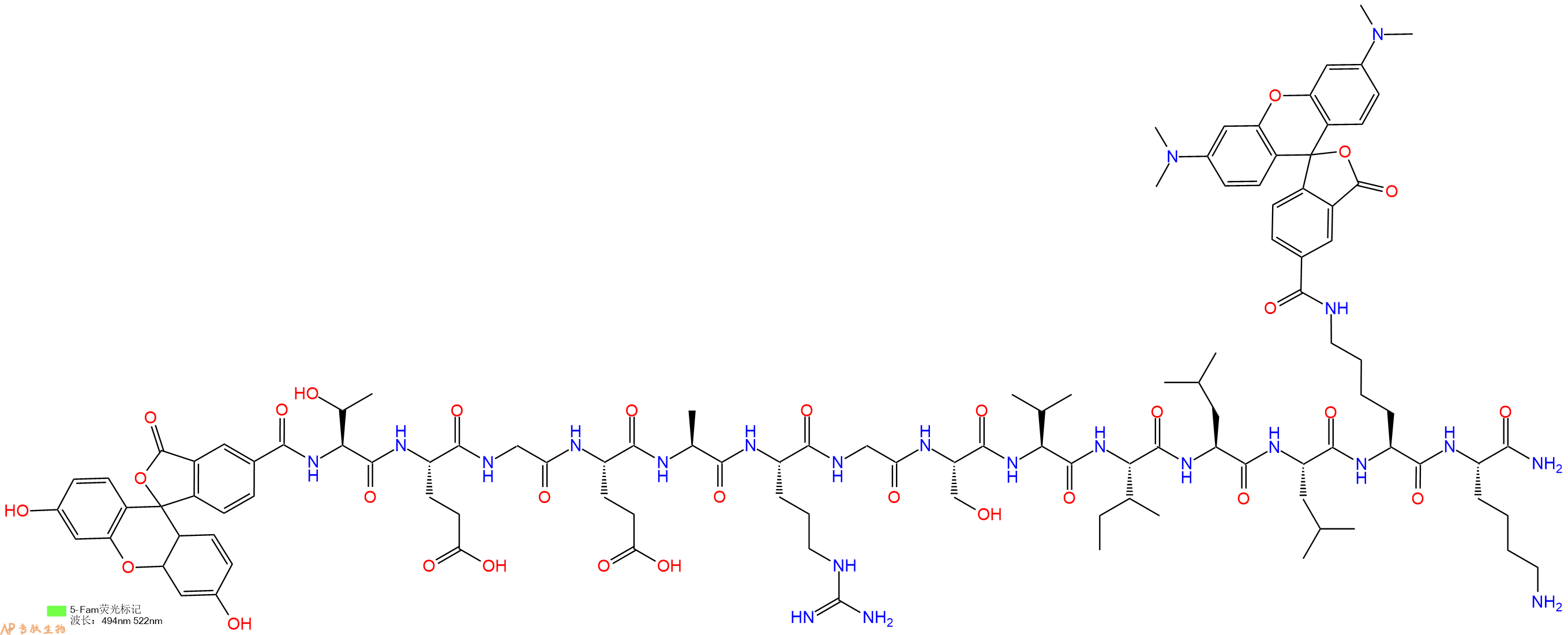 专肽生物产品5FAM-Thr-Glu-Gly-Glu-Ala-Arg-Gly-Ser-Val-Ile-Leu-Leu-Lys(TAMRA)-Lys-NH2