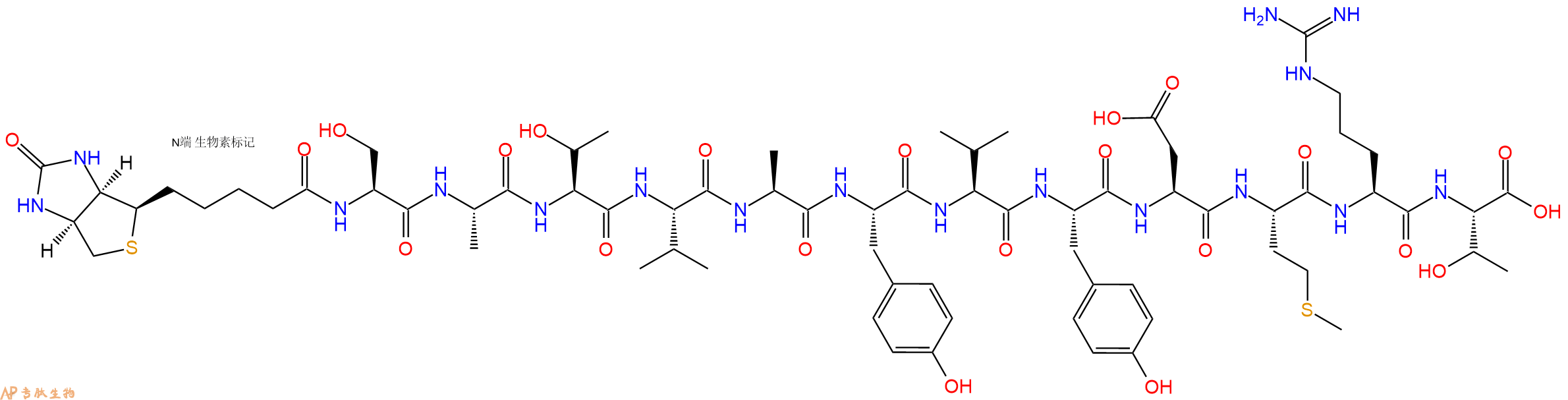 专肽生物产品Biotinyl-Ser-Ala-Thr-Val-Ala-Tyr-Val-Tyr-Asp-Met-Arg-Thr-OH