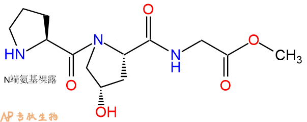 专肽生物产品H2N-Pro-Hyp-Gly-OMe