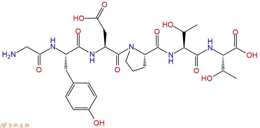 专肽生物产品H2N-Gly-Tyr-Asp-Pro-Thr-Thr-OH