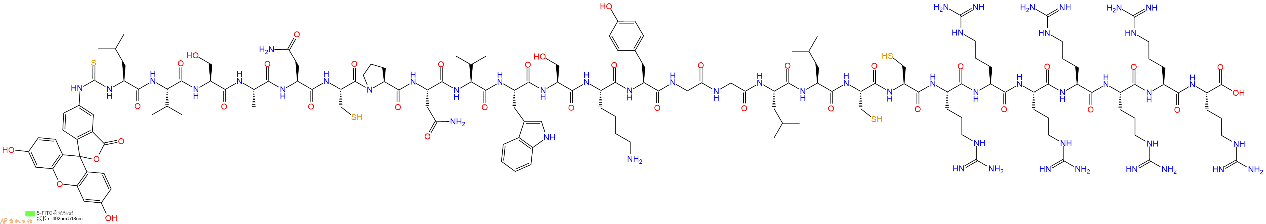 专肽生物产品5FITC-Leu-Val-Ser-Ala-Asn-Cys-Pro-Asn-Val-Trp-Ser-Lys-Tyr-Gly-Gly-Leu-Leu-Cys-Cys-Arg-Arg-Arg-Arg-Arg-Arg-Arg-OH