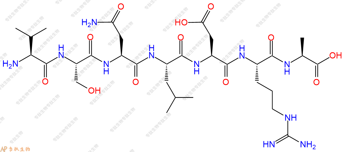 专肽生物产品H2N-Val-Ser-Asn-Leu-Asp-Arg-Ala-OH