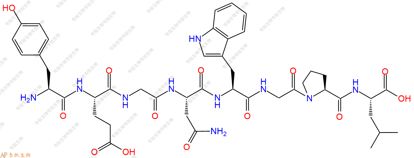 专肽生物产品H2N-Tyr-Glu-Gly-Asn-Trp-Gly-Pro-Leu-OH