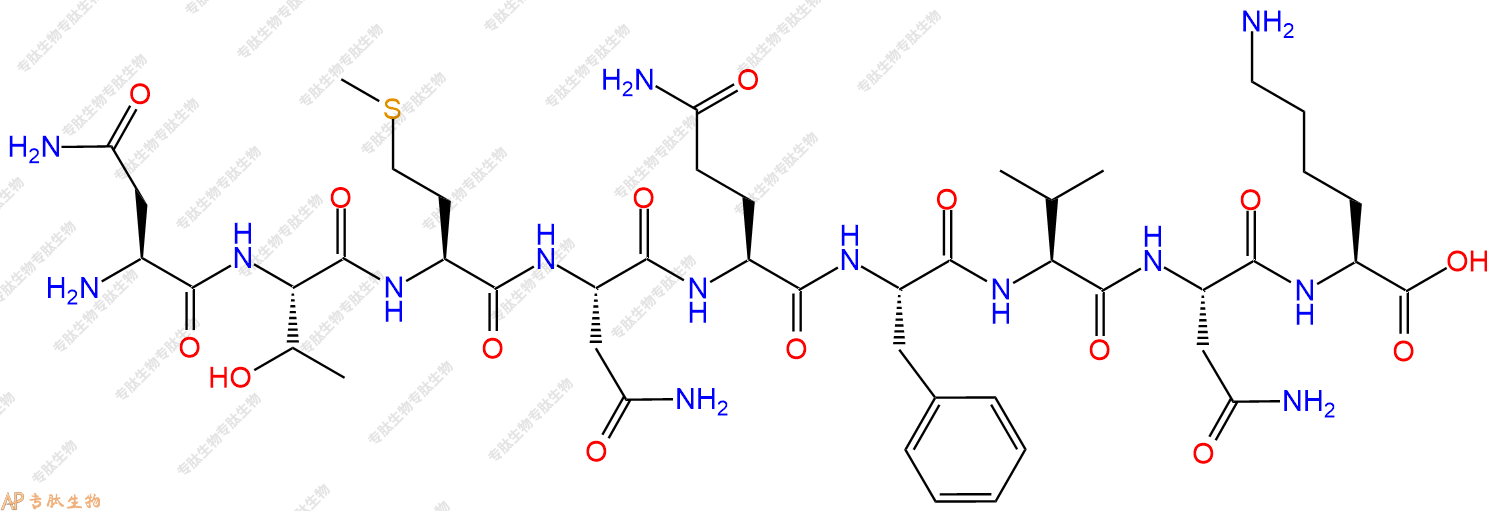 专肽生物产品H2N-Asn-Thr-Met-Asn-Gln-Phe-Val-Asn-Lys-OH