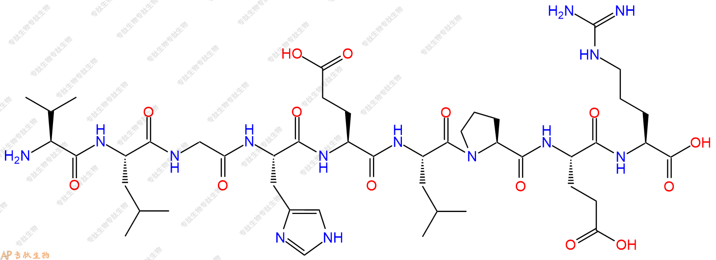 专肽生物产品H2N-Val-Leu-Gly-His-Glu-Leu-Pro-Glu-Arg-OH