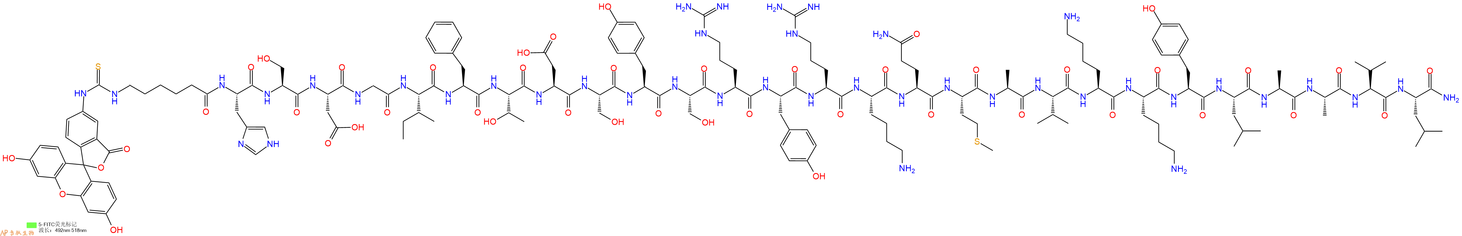 专肽生物产品5FITC-Ahx-His-Ser-Asp-Gly-Ile-Phe-Thr-Asp-Ser-Tyr-Ser-Arg-Tyr-Arg-Lys-Gln-Met-Ala-Val-Lys-Lys-Tyr-Leu-Ala-Ala-Val-Leu-NH2