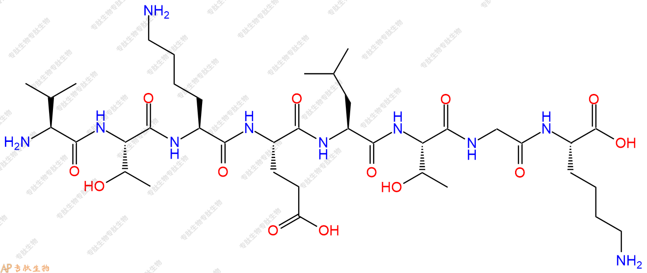专肽生物产品H2N-Val-Thr-Lys-Glu-Leu-Thr-Gly-Lys-OH