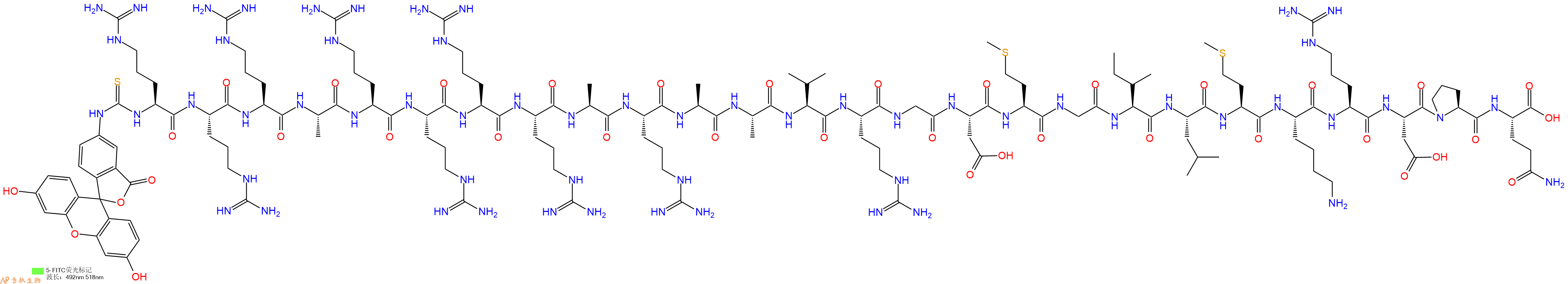 专肽生物产品5FITC-Arg-Arg-Arg-Ala-Arg-Arg-Arg-Arg-Ala-Arg-Ala-Ala-Val-Arg-Gly-Asp-Met-Gly-Ile-Leu-Met-Lys-Arg-Asp-Pro-Gln-OH