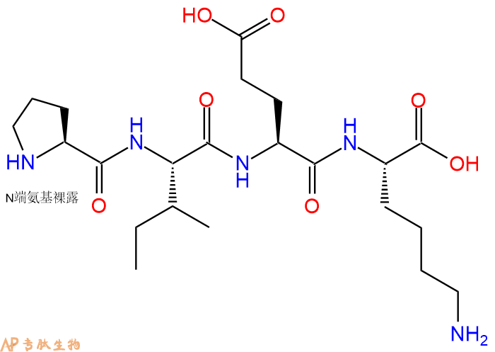 专肽生物产品H2N-Pro-Ile-Glu-Lys-OH