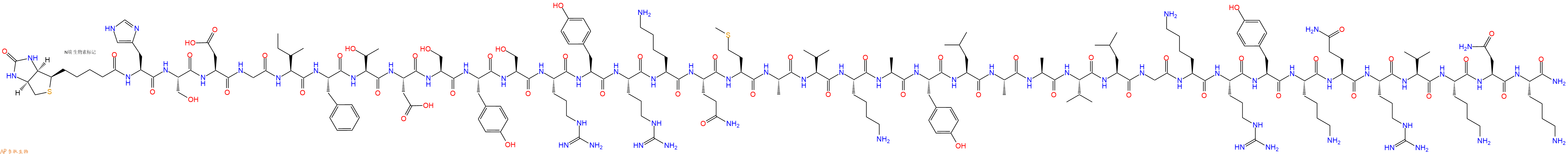 专肽生物产品Biotinyl-His-Ser-Asp-Gly-Ile-Phe-Thr-Asp-Ser-Tyr-Ser-Arg-Tyr-Arg-Lys-Gln-Met-Ala-Val-Lys-Ala-Tyr-Leu-Ala-Ala-Val-Leu-Gly-Lys-Arg-Tyr-Lys-Gln-Arg-Val-Lys-Asn-Lys-NH2
