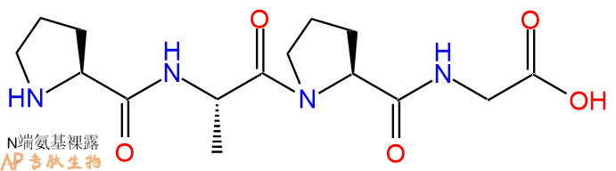 专肽生物产品H2N-Pro-Ala-Pro-Gly-OH