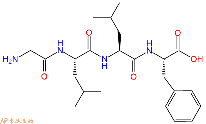 专肽生物产品H2N-Gly-Leu-Leu-Phe-OH